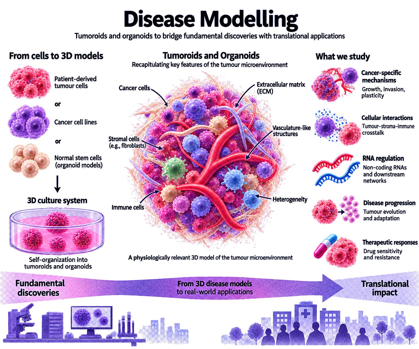 disease modelling